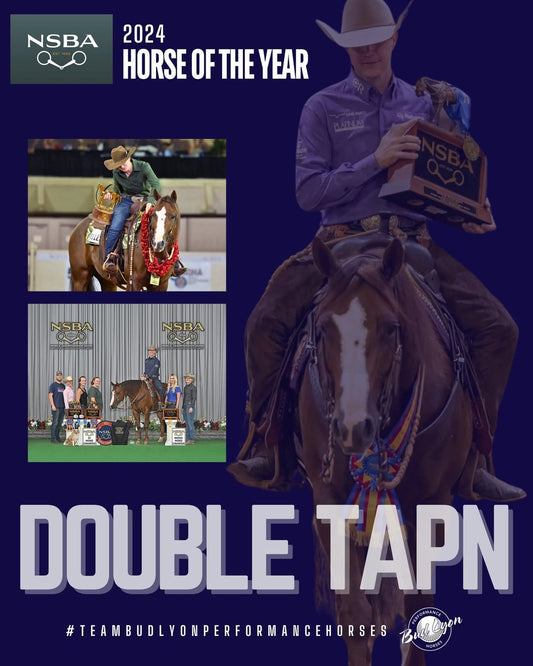 Double Tapn Named 2024 NSBA Horse of the Year