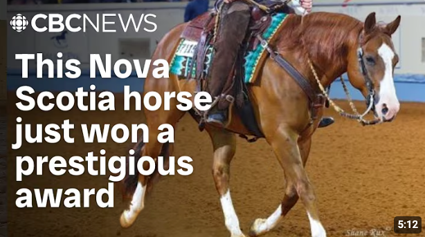 AQHA Super Horse SUMAC GunnaBeFlashy on CBC News