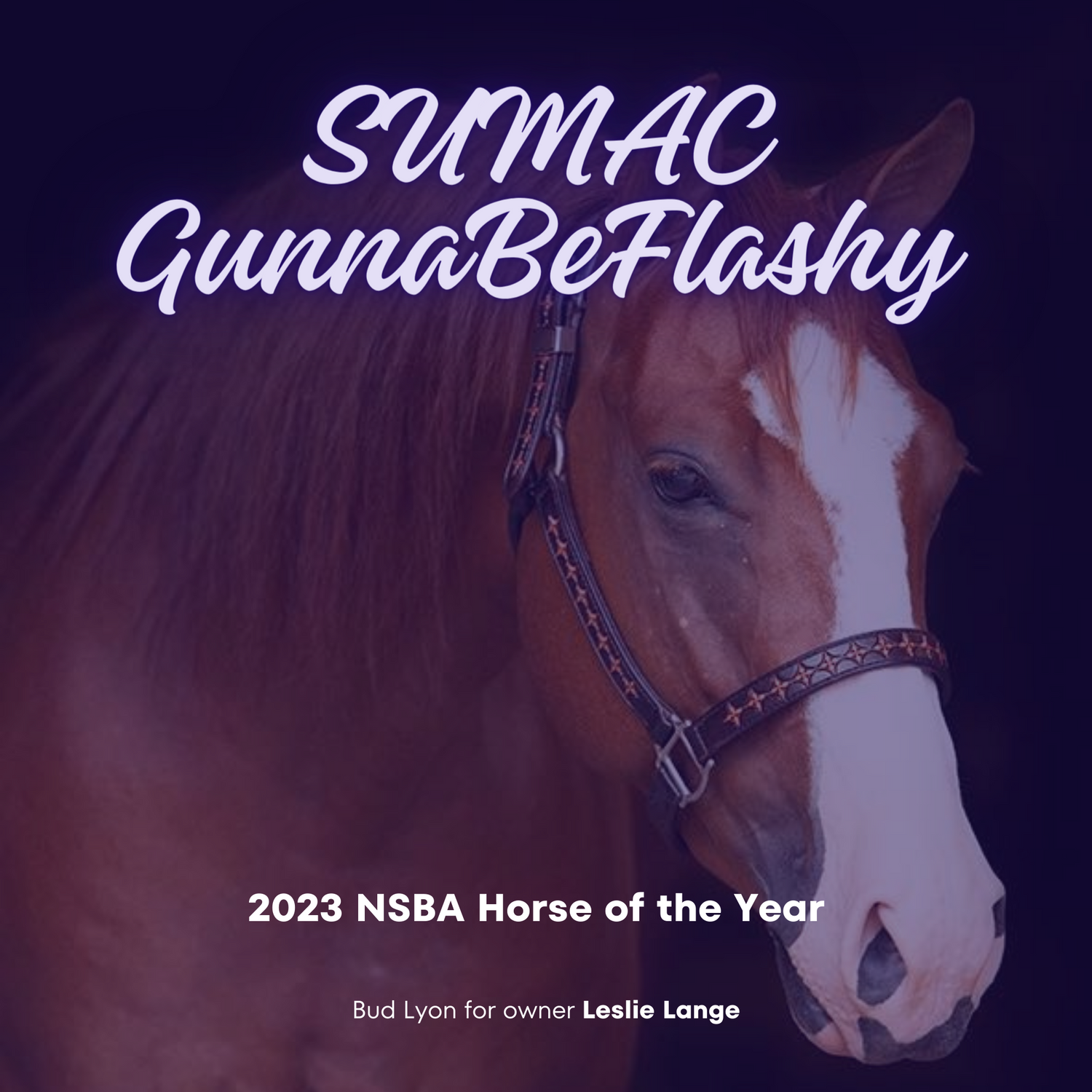 Romeo and Bud Lyon captured the 2023 AQHA Senior Ranch Riding World title and the 2023 NSBA Open Horse of the Year award.