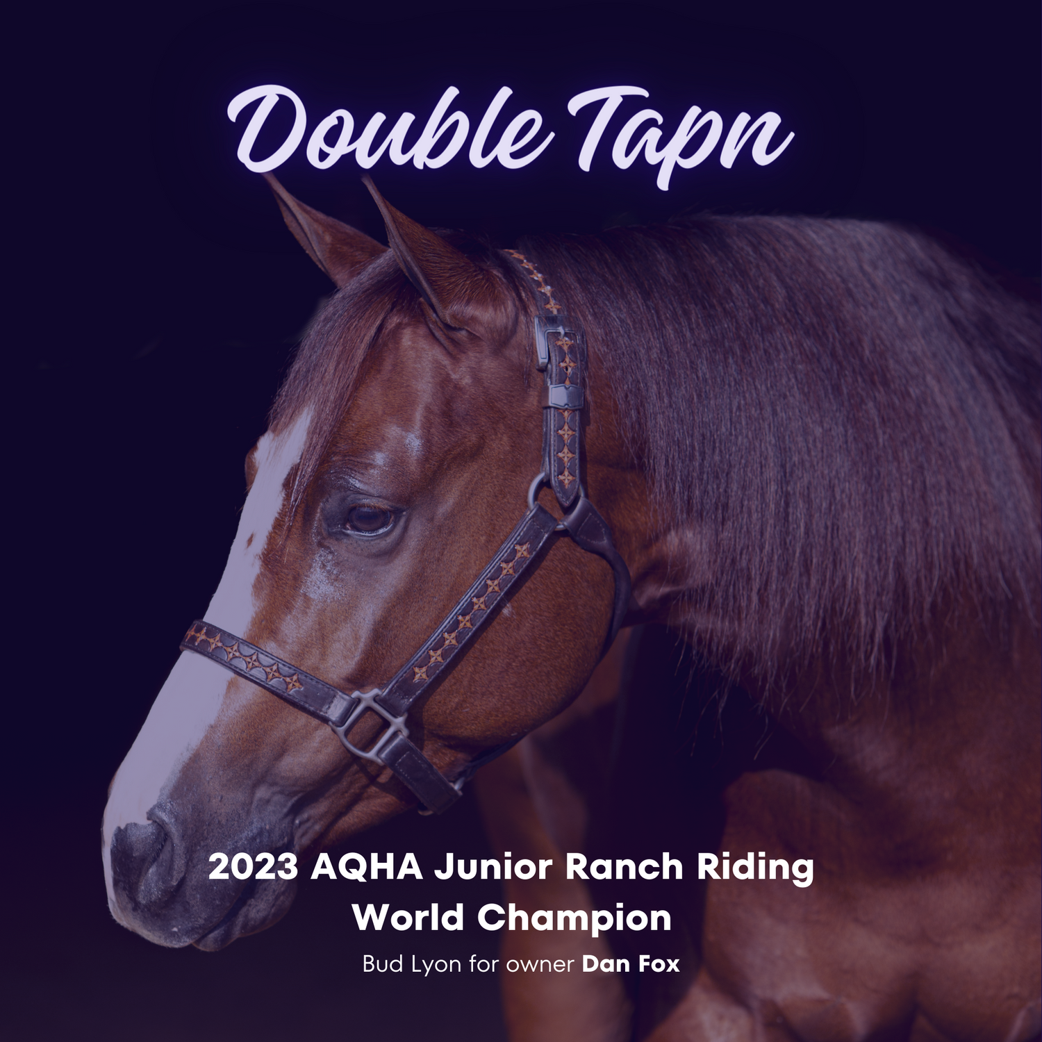 Double Tapn and Bud Lyon take the 2023 win in AQHA Junior Ranch Riding for owner Dan Fox.
